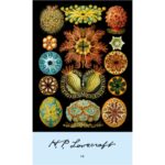 LOVECRAFT #10 Η ΟΝΕΙΡΙΚΗ ΑΝΑΖΗΤΗΣΗ ΤΗΣ ΑΓΝΩΣΤΗΣ ΚΑΝΤΑΘ