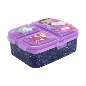 Compartment Rectangular Sandwich Box (75899)