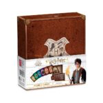 SHUFFLE  HARRY POTTER I GO TO HOGWARTS CARDS